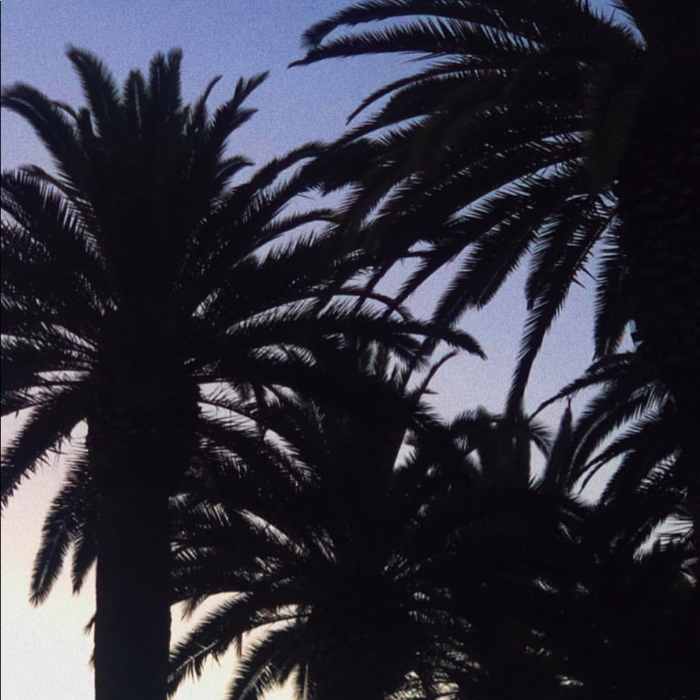 Meet your Posher, Jasmin